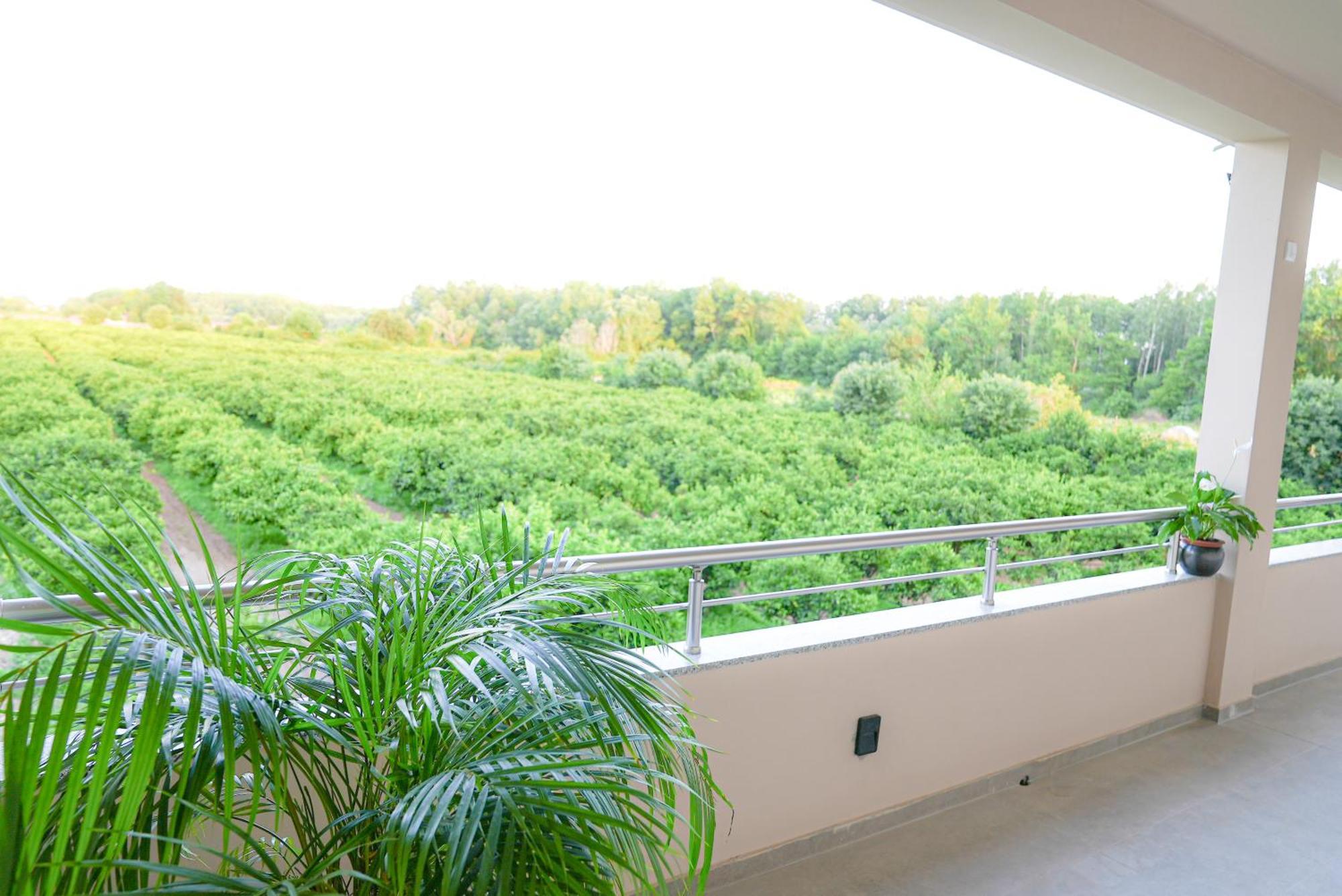 Mar Nero Apartments Bregvija ภายนอก รูปภาพ